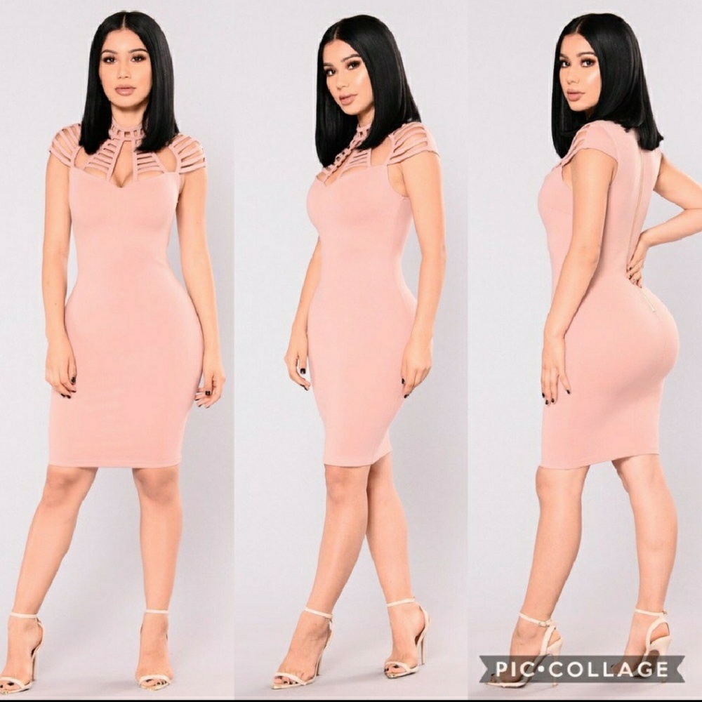 NWOT Rose Bodycon mini dress